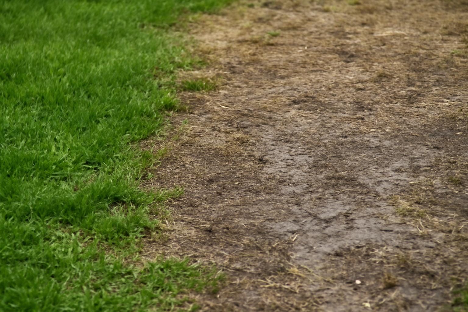 Jak przygotować i utrzymać basen ogrodowy