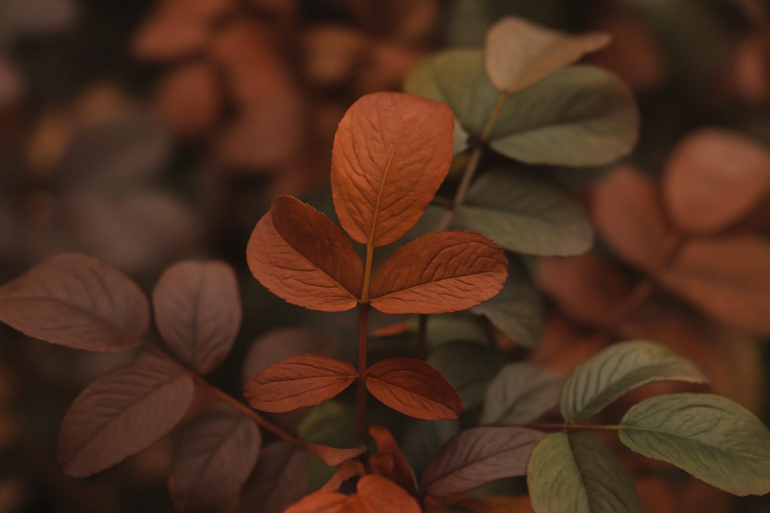 Trendy kolorystyczne wnętrz 2026: kolory roku i paleta